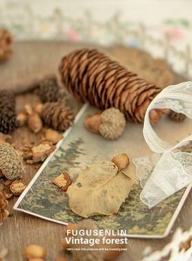 清新森系天然松果干果干枝材料包圣诞场景拍摄道具静物家居摆件