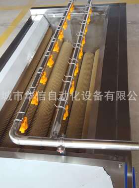 全自动商用根茎类材果蔬毛刷清洗机蔓菁地黄红参磨皮清洗设备
