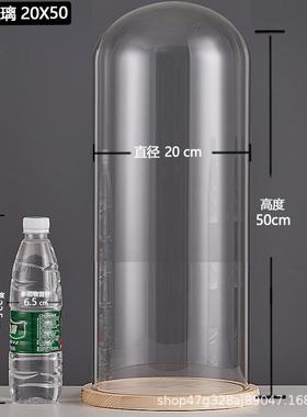 厂家跨境永生干花玻璃装饰摆件