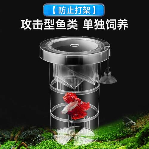 鱼缸孔雀鱼孵化器繁殖盒亚克力隔离盒热带鱼孵化产卵器鱼苗隔离盒 - 图1