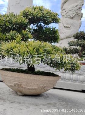 石雕树缸大理石青石芝麻白黄锈石中四鱼缸树池花缸天然石头雕刻