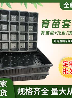 16孔正方形育苗盘育苗盆番茄药材种子扦插多肉种植盆景多肉专用