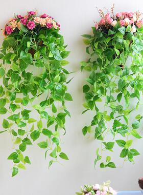 绿萝挂墙花盆墙面装饰花壁挂装饰花篮墙壁装饰挂件创意墙狄瑄
