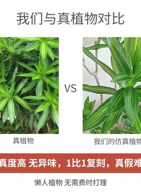 彷真绿色植物百合竹盆栽中古风室内客厅大型假植物景观落地装饰摆