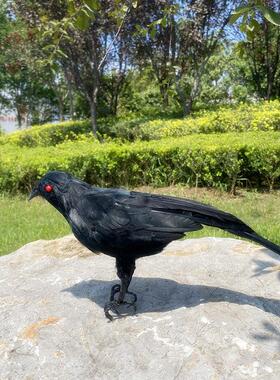 仿真羽毛黑乌鸦鸟摆件万圣节道具主题场景装饰摆饰尺寸30-40厘米
