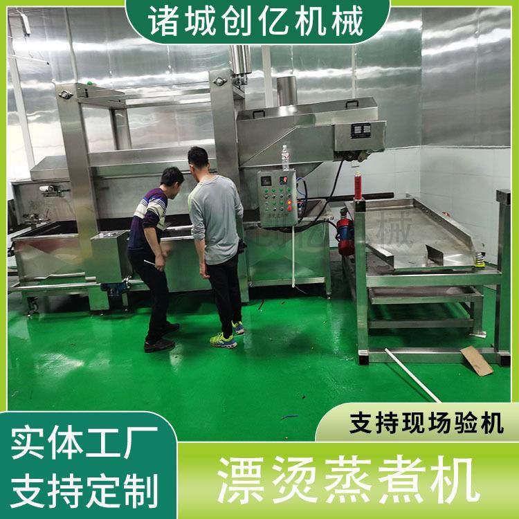 镇店之宝全自动蒸汽蔬菜漂烫机现货果蔬杀青机带提升海鲜蒸煮机,淘宝优惠券,粉丝福利购,淘宝优惠卷