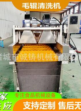 茂谷柑平行毛辊清洗机304不锈钢支持定制商用黄桃清洗加工设备
