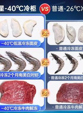 星星冰柜家用小型冷藏冷冻冰柜一级能效电子温控家用商用冷冻柜