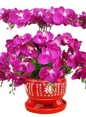 人造花蝴蝶兰花雪兰花集家庭客厅电视柜假花婚礼新房装饰花饰品