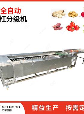 水果分拣大小选果机全自动不锈钢果蔬分选设备苹果分级分选机