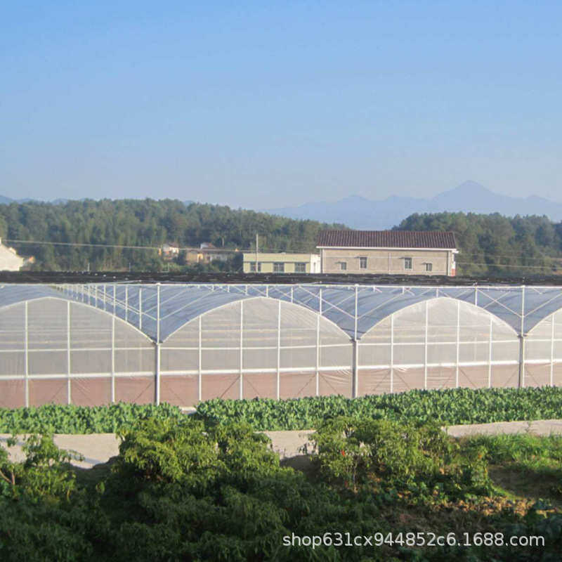 草莓棚葡萄棚育苗棚 农业大棚 连栋温室 大棚骨架 日光温室大棚，,淘宝优惠券,粉丝福利购,淘宝优惠卷