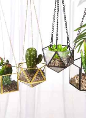 璃挂sg-700肉空气凤梨植物几何防尘多玻罩花房盆罩悬铜边工艺品挂