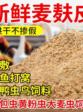 新鲜小麦麸子皮混合钓鱼饵料鸡鸭鹅饲料打窝面包虫喂狗中药