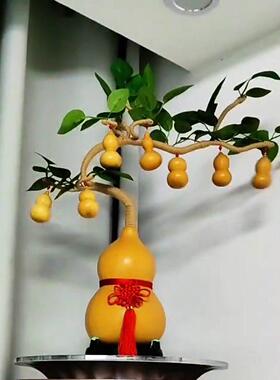 葫芦摆件一颗藤上七个葫芦发财树办公室客厅高档装饰品福禄风水