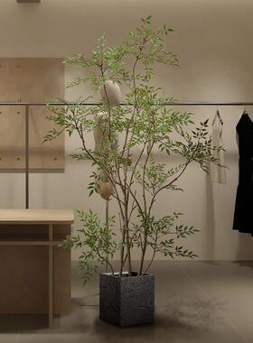 仿真绿植南天竹室内服装店商铺角落仿生植物假树落地盆栽装饰摆件