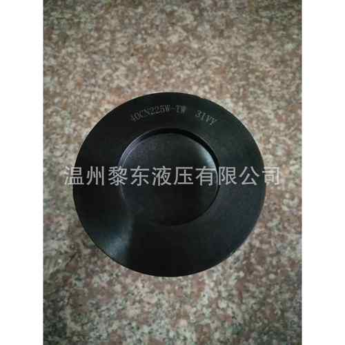 UE319AT08H310HC9021FDP4HHC96001FKNS13HZ滤芯F170DN2025R21 - 图3