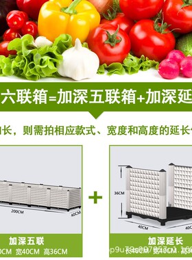塑料花盆室内蔬菜种植箱家庭菜园子家用长方形种菜箱架子自吸水