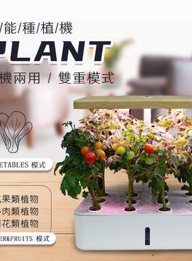 室内种菜机家用水耕水培无土栽培蔬菜番茄花卉育苗种植箱