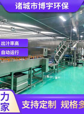 定制石榴汁生产线博宇苹果海棠果大型榨汁机全套石榴籽榨汁设备