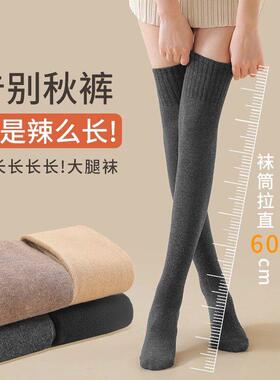 女士防滑保暖过膝长袜大腿袜春秋季加厚保暖小腿袜压力瘦腿长筒袜