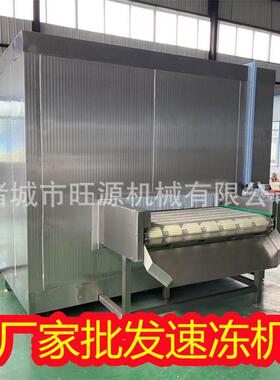 鱼糜调理制品速冻设备 隧道速冻机 鱼糜深加工速冻冷冻生产线