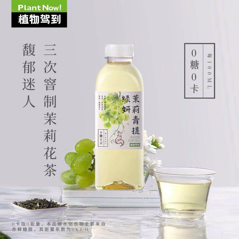 果味果汁茶饮料0糖0卡金桂桃桃茉莉青提海盐荔枝茶饮品,淘宝优惠券,粉丝福利购,淘宝优惠卷