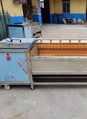 毛桃黄桃毛辊清洗设备田螺去泥沙毛辊清洗机生姜莲藕脱皮机