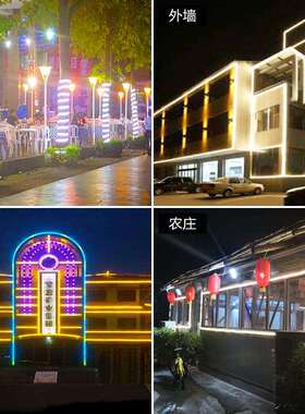 led霓虹灯带柔性圆形七彩闪烁变色装饰户外防水软灯管线条灯220v