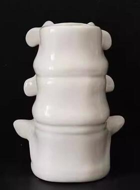 创意脊柱杯子大容量脊椎骨骼模型桌面摆件北欧风格陶瓷马克杯网红