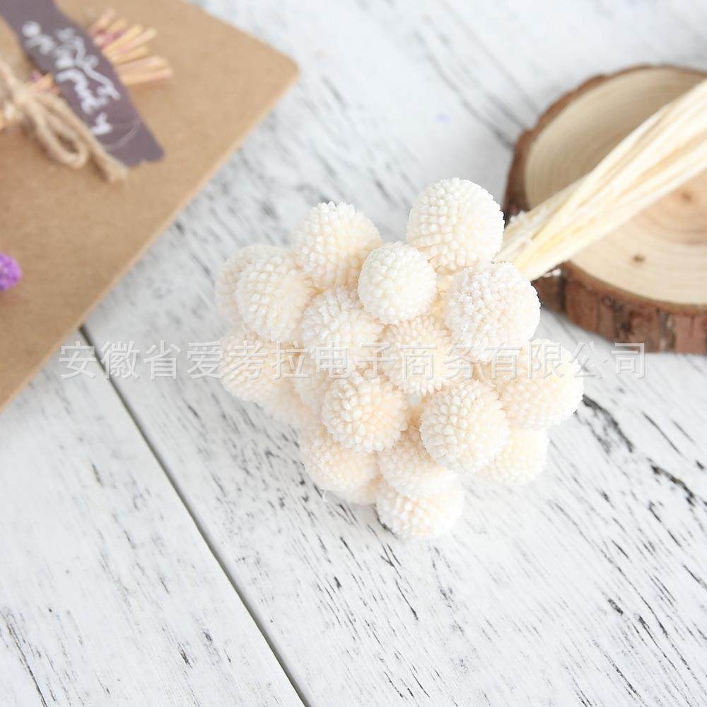 黄金球 黄金果 永生花花材DIY材料配材 永生花礼盒玻璃罩花环材料,淘宝优惠券,粉丝福利购,淘宝优惠卷