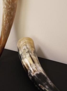 一枚橙 天然中古角楼部样板YTG房茶几台面压书摆售件柜电视牛装饰