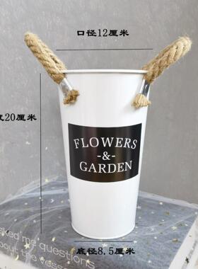 鲜花鲜花养花干花花盆装饰摆件