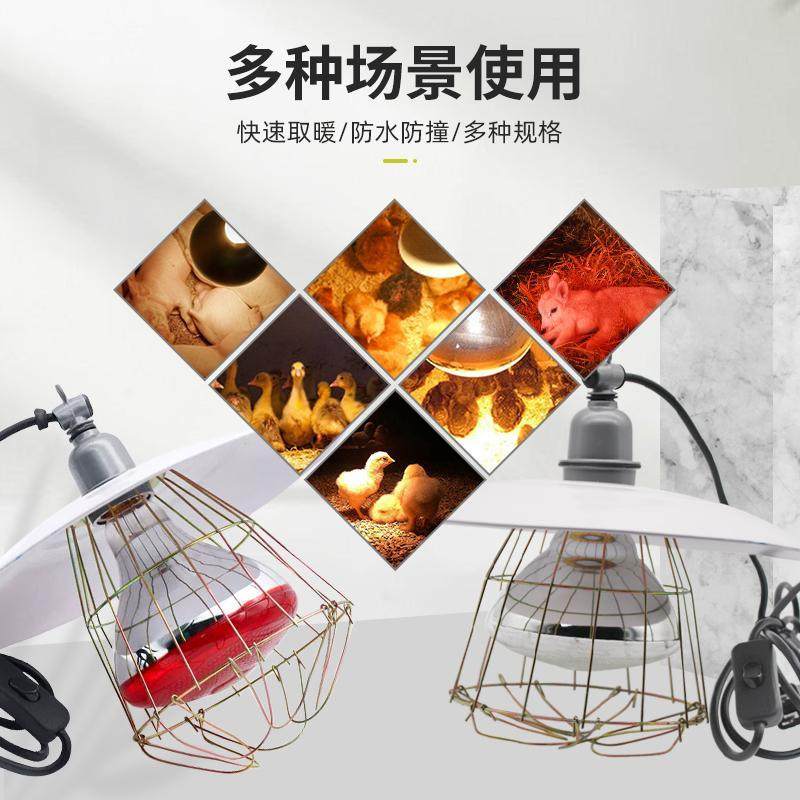养殖保温灯罩套装防撞防爆铁丝网罩猪用育雏取暖灯鸡鸭鹅保温灯泡,淘宝优惠券,粉丝福利购,淘宝优惠卷