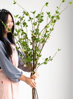 小花叶枝绿叶树枝仿真绿植客厅大件落地装饰花摆件高花瓶插花假花