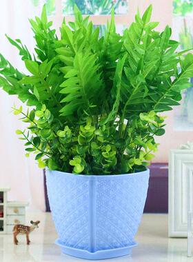 仿真植物仿真绿色植物套装摆件假草万年青盆栽装饰花艺塑料假花仿