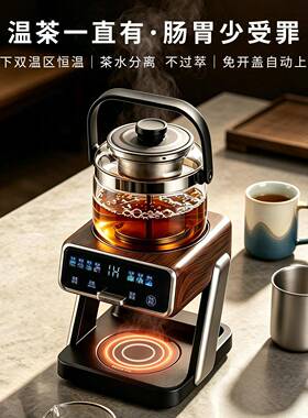 茶皇家子纯钛萃茶YQ-E09机蒸汽喷淋式煮茶器用自上水茶机动泡恒温