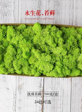 永生花花材 礼盒制作材料 保鲜花仿真花 永生苔藓墙体装饰