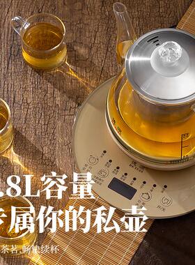 德源电热水壶全自动煮茶器玻璃养生炉家用恒温一体小型烧水随手泡