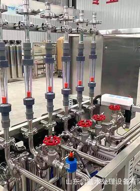 250L/H反渗透净水机处理设备大型工业商用EDI脱盐设备