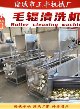 全自动莲藕毛刷清洗机 芋头地瓜去皮清洗机 土豆马铃薯毛辊去皮机