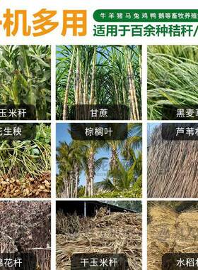 黄储粉碎机多功能牛羊饲料厂用铡草机秸秆揉丝机