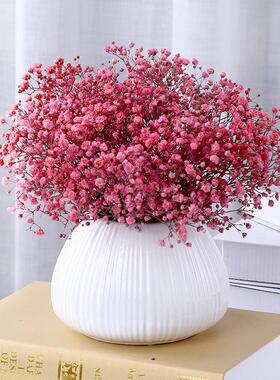 满天星带花瓶永生花真插干花花束家居摆设小清新摆件客厅房间装饰
