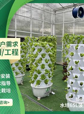 科普水培种植系统气雾栽培菠萝塔大棚蔬菜种植设备无土栽培种植塔
