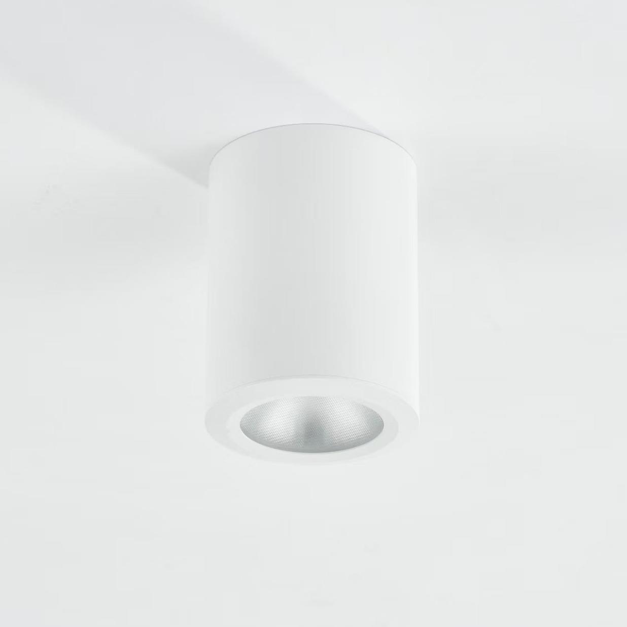 Led waterproof surface mounted downlight outdoor shop door balcony terrace bathroom hotel canopy swimming pool outdoor spotlight