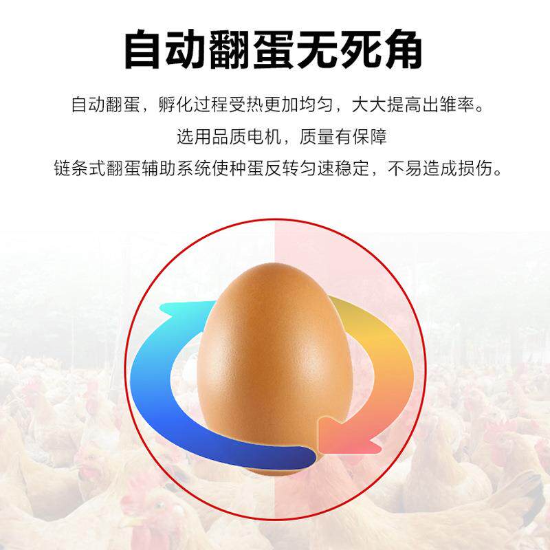 Fully automatic large pigeon incubator egg incubator egg small household incubator egg incubator chicken intelligent