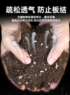 营养土家用养花种菜专用土多肉盆栽通用型种植土园艺土壤花土肥料