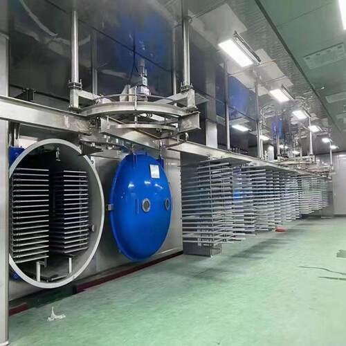 真空冻干机鸡胸肉低温干燥机大型果蔬FD食品冻干设备 - 图1