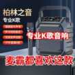家庭ktv音响卡拉ok一体机家用户外k歌广场舞音箱客厅唱歌全套设备