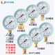 Y60 pressure gauge water pressure floor heating water distributor pressure gauge tap water pressure test floor heating pressure gauge 1.6mpa