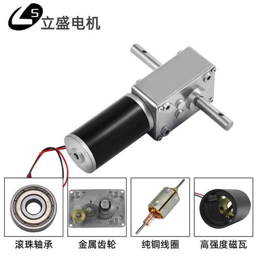 5840-31ZY微型直流减速电机涡轮蜗杆低速调速小马达12v24v双出轴 - 图1